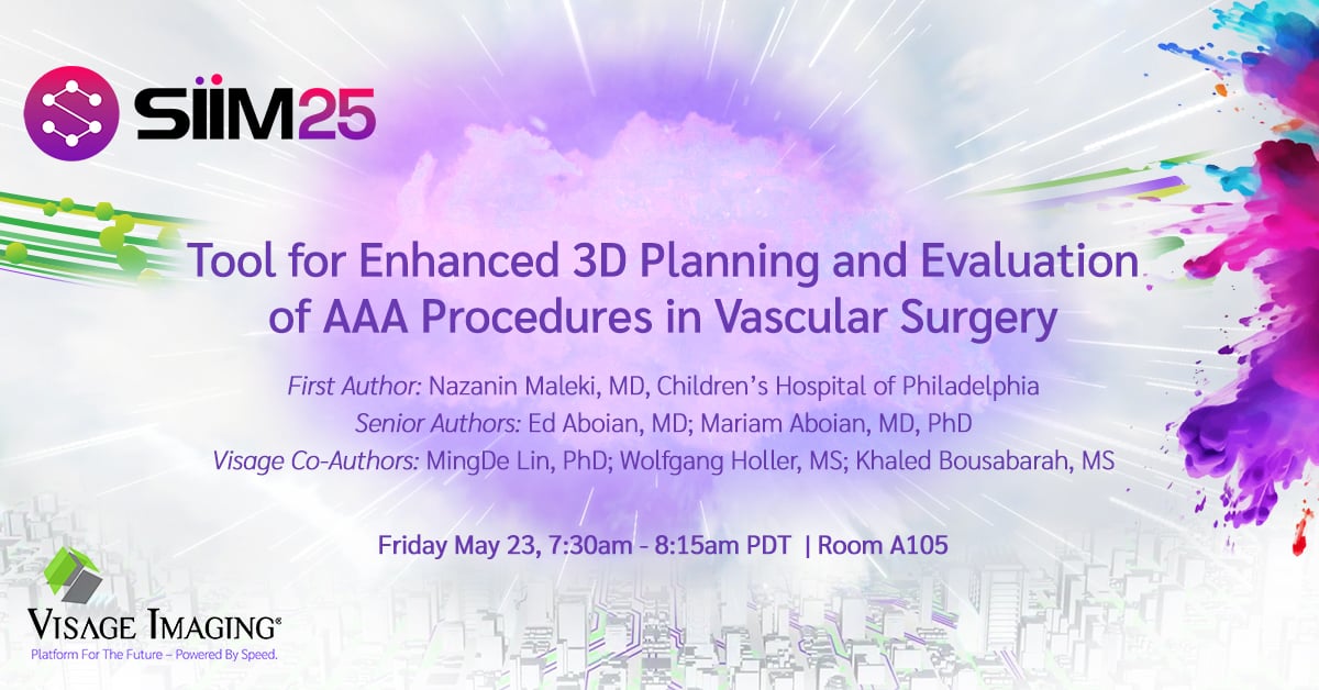 Tool for Enhanced 3D Planning and Evaluation of AAA Procedures in Vascular Surgery