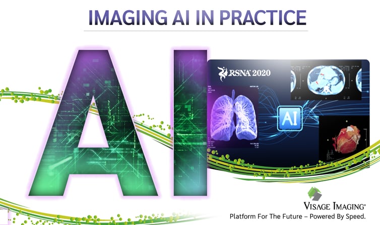 Visage 7 | Imaging AI in Practice Demonstration