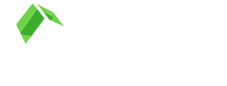 Visage Imaging
